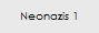 Neonazis 1